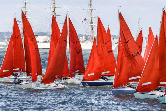 Day 8 – The Squib fleet – Lendy Cowes Week ©  Tom Gruitt http://www.tom-gruitt.co.uk